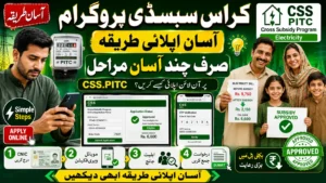 Cross Subsidy Program Electricity – Simple Steps to Apply Online via css.pitc